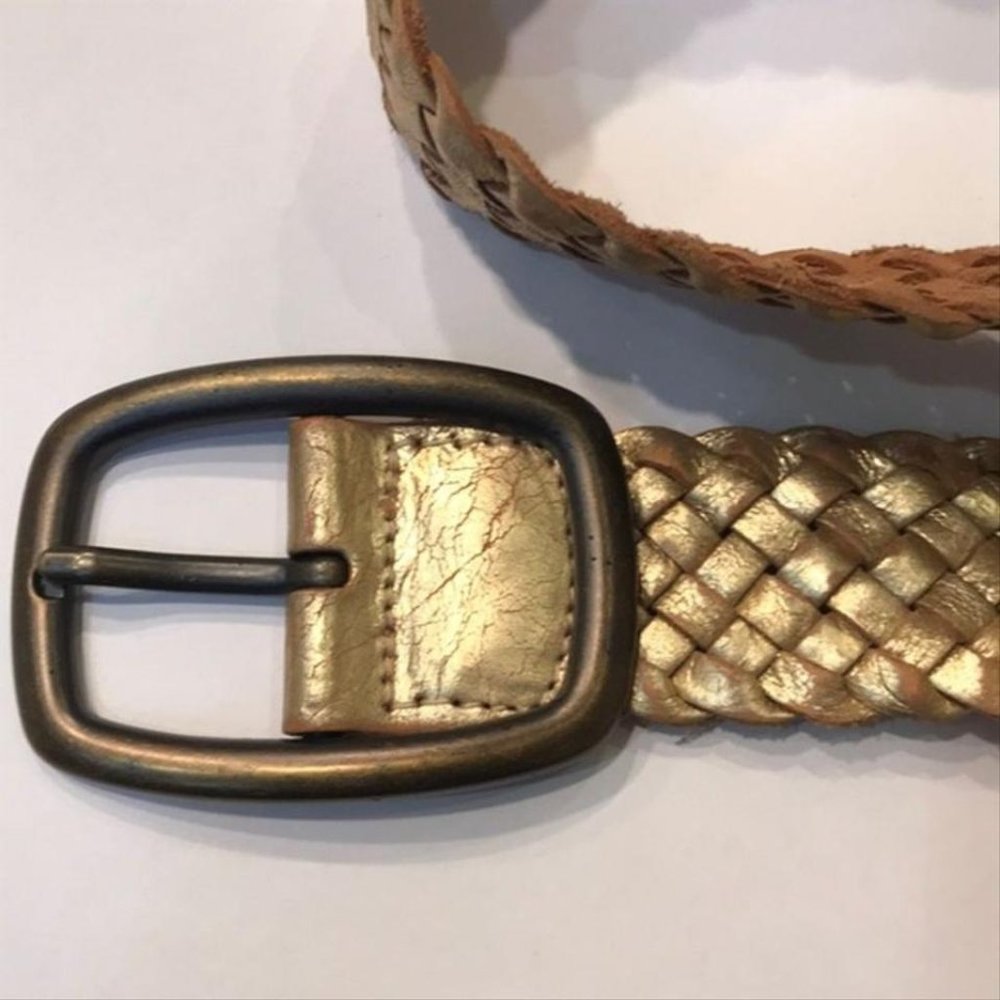 Fossil Belt - Picture 3 of 8